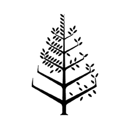 塞舌尔群岛德罗什岛四季酒店 Logo